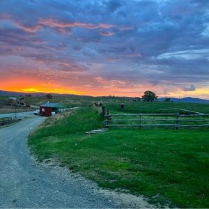 Meet your Posher, Jodilie